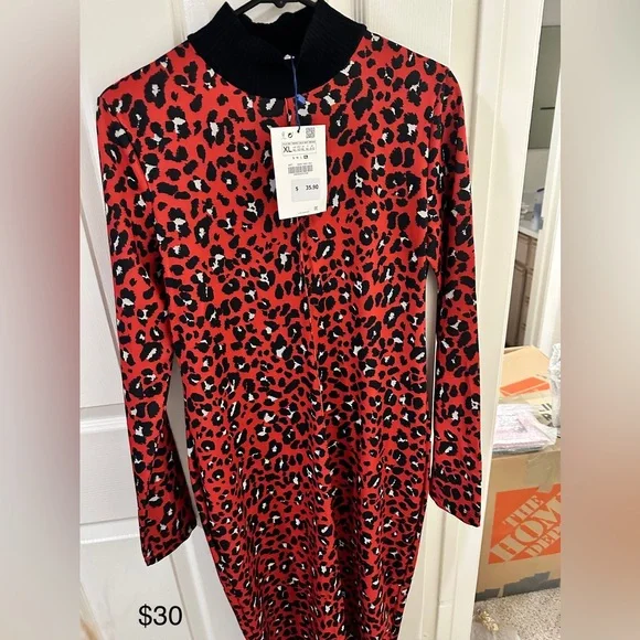 Zara Dresses Zara Leopard Print Longsleeves Turtleneck Long
